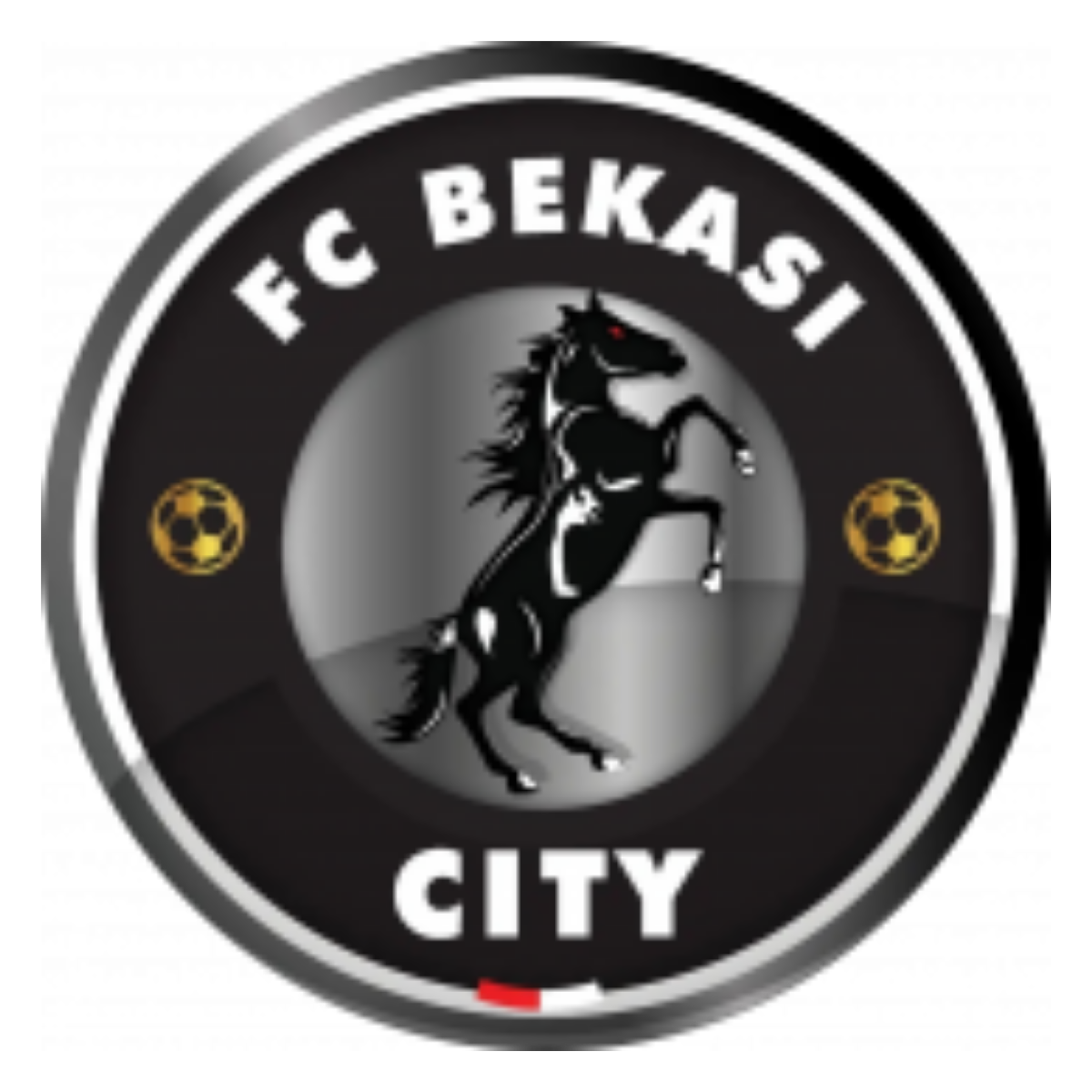 FC Bekasi City